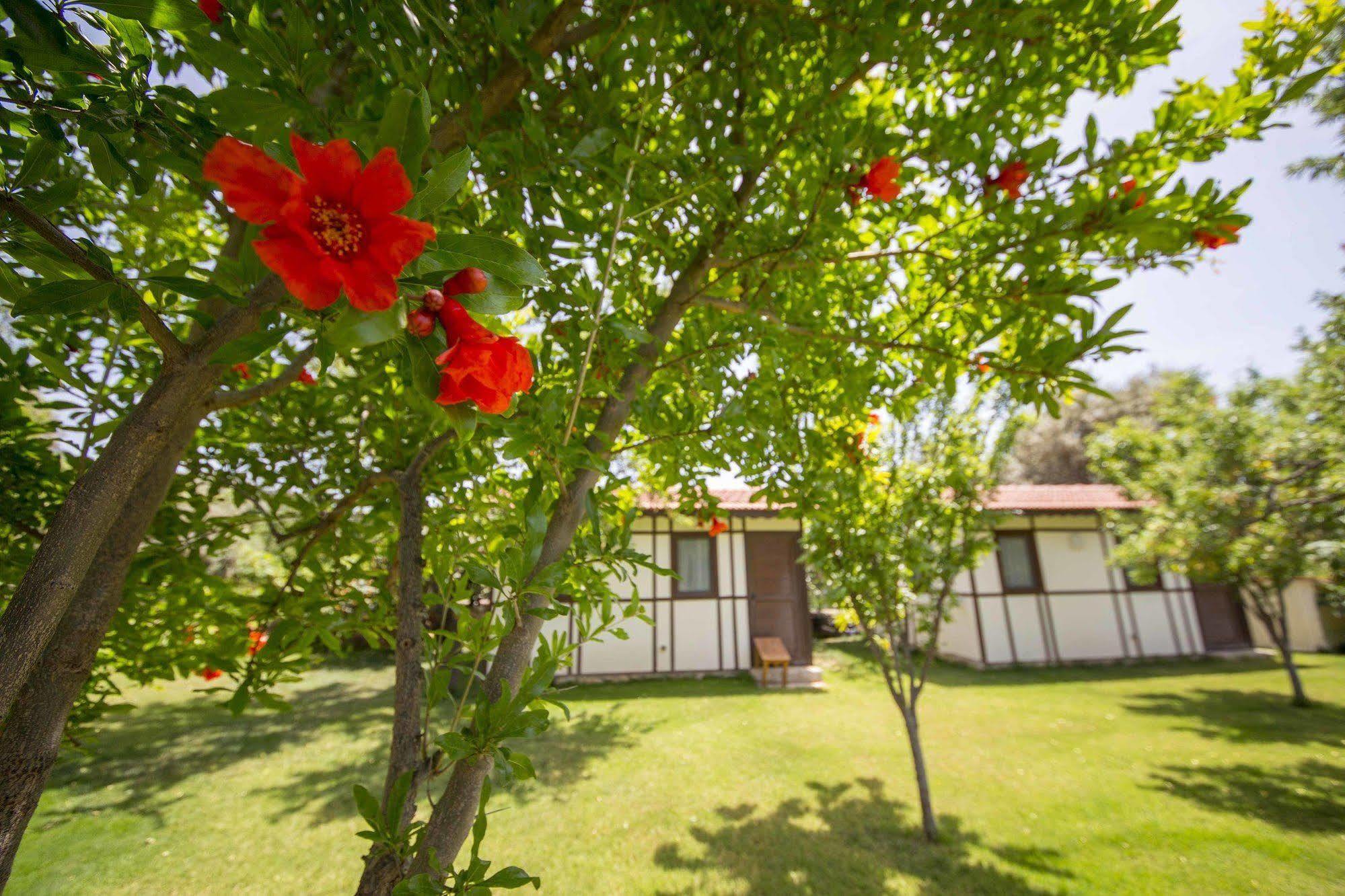 Bal Badem Bungalow Датча Екстериор снимка